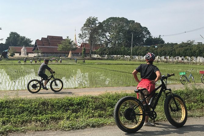 Half-day E-bike Countryside and rice paddies (flat land, GUIDED) - Price check: is $50.52 worth 4 hours of e-bike countryside?