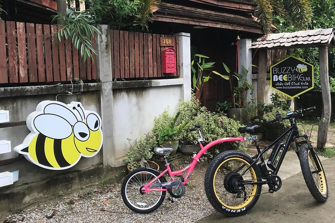 Half-day E-bike Countryside and rice paddies (flat land, GUIDED) - Wat Ton Kwen: old Lanna temple stop number one