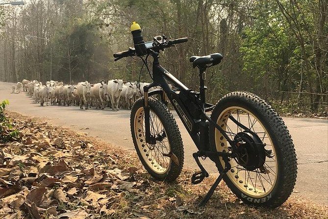Half-day E-bike Nam Phrae (hilly, fully paved roads, GUIDED) - Pacing and guide style: what makes the ride feel personal