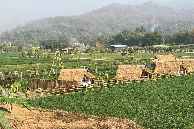Half-day E-bike Nam Phrae (hilly, fully paved roads, GUIDED) - Price and value: what $50.52 really covers