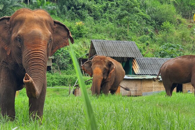 Half-Day Elephant Experience at Rantong - Getting from Chiang Mai to Ran-Tong: the ride factor