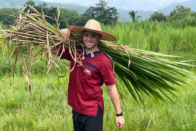 Half-Day Elephant Experience at Rantong - The meal stop: Thai food, fruit, and an actual end to the day