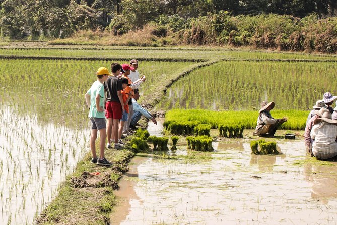 Half-Day Lanna Countryside Cycling Tour in Chiang Mai - Why this Lanna ride feels like the real Chiang Mai