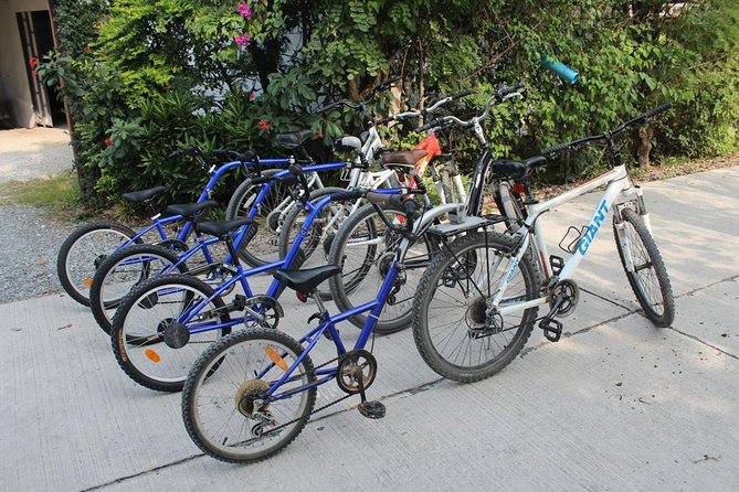 Half-Day Lanna Countryside Cycling Tour in Chiang Mai - Riding the countryside on easy back roads: what to expect