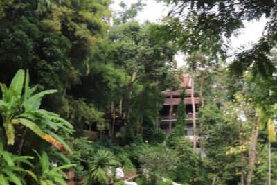 Half Day Morning Wat Pha Lat & Wat Phra That Doi Suthep Tour - Wat Pha Lat: Thai Meets Burmese in the Jungle Air