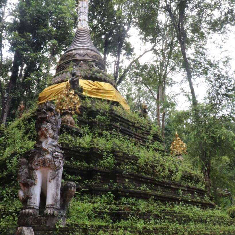Half Day Morning Wat Pha Lat & Wat Phra That Doi Suthep Tour - Wat Pha Lat Access Swap (Feb 1–2, 2026): Plan Around It