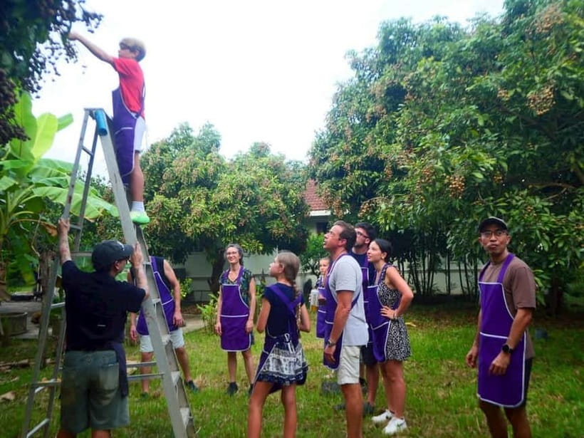 Half-Day Thai Cooking Class on a Local Farm Near Chiang Mai - Key Highlights You’ll Care About