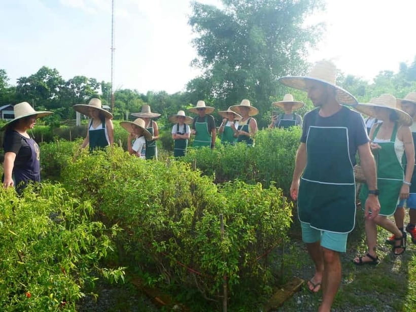Half-Day Thai Cooking Class on a Local Farm Near Chiang Mai - Spring Rolls: The Hands-On Dish That Makes You Pay Attention