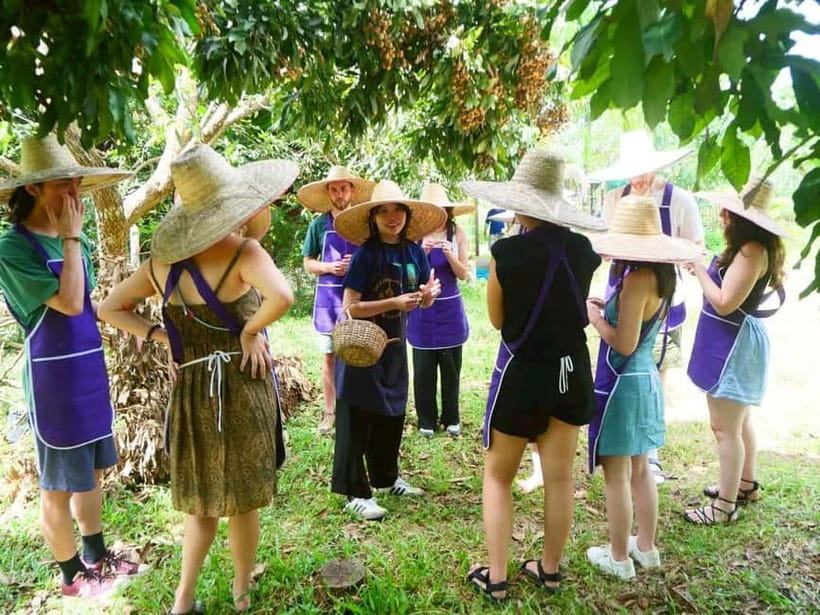 Half-Day Thai Cooking Class on a Local Farm Near Chiang Mai - The Organic Farm Side of Chiang Mai Countryside