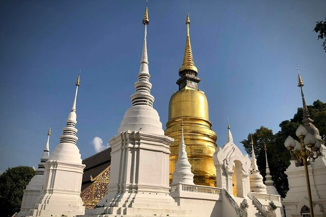 Half Day tour Suan Dok Temple, Umong temple & Doi Suthep Temple - The private guide factor: clear English and on-the-spot tailoring