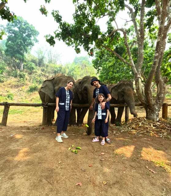 Half-day with CHIANGMAI ELEPHANT CARE program (12pm-6pm.) - Making herbal medicine balls for digestive support