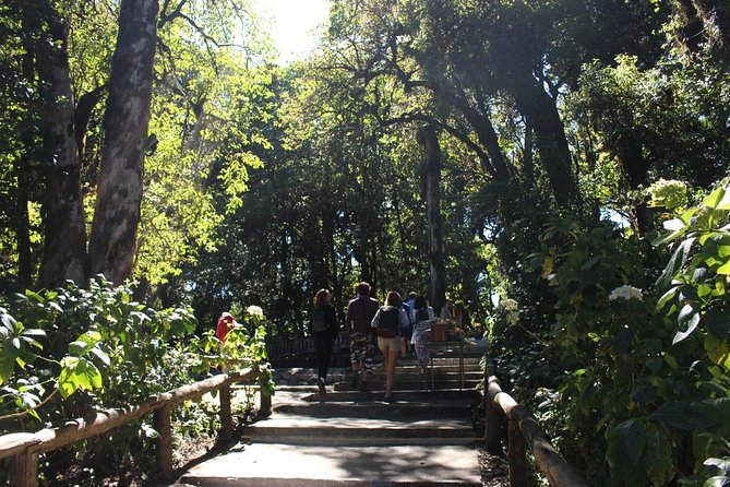 Inthanon Day Trip from Chiang Mai with Lunch - Group or Private - Ang Ka Nature Trail: a short walk that makes the rainforest real