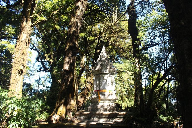 Inthanon Day Trip from Chiang Mai with Lunch - Group or Private - Ban Mae Klang Luang Karen village: coffee, culture, and a slower pace