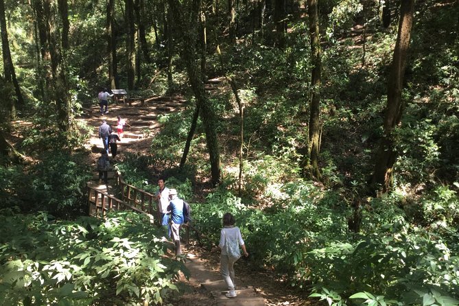 Inthanon Small-Group with Kew Mae Pan Trail from Chiang Mai include Lunch - Wachirathan Waterfall: first views and an easy win