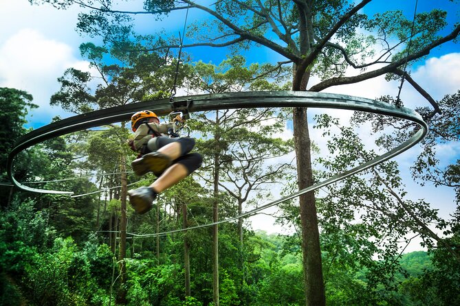 Jungle Flight Zipline Roller Coaster - Key things to know before you go