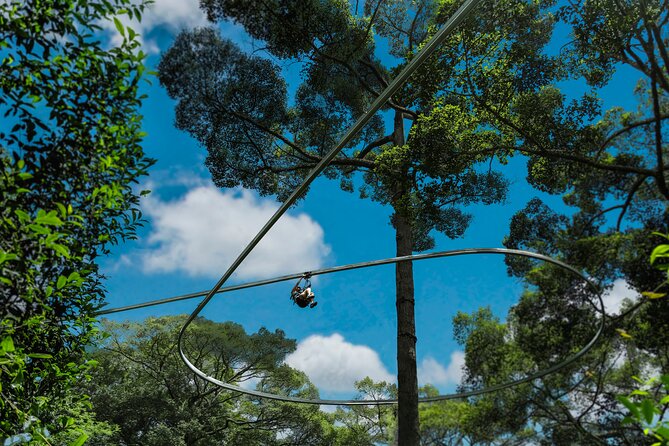Jungle Flight Zipline Roller Coaster - The meal and drinks after flying: refuel without getting stuck