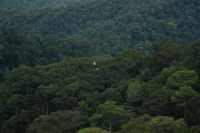 Jungle Flight Zipline Roller Coaster - Photos and extras: how to plan your camera setup