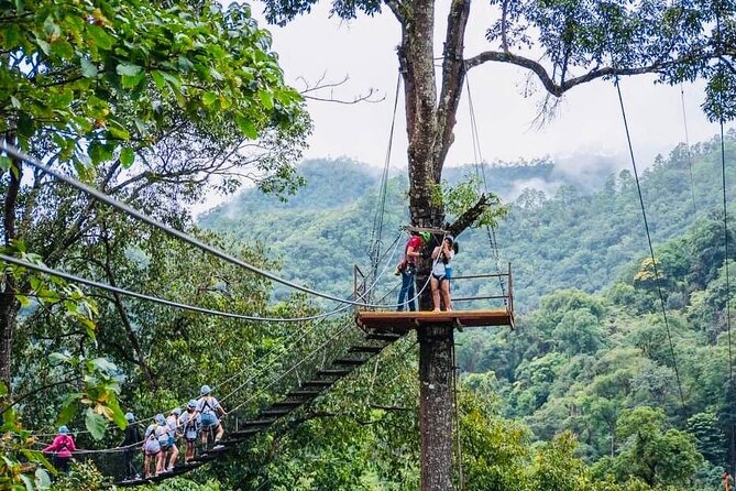 Kingkong Smile Zipline Adventure Tour From Chiang Mai - Price Value Check and What’s Included in the $79.39