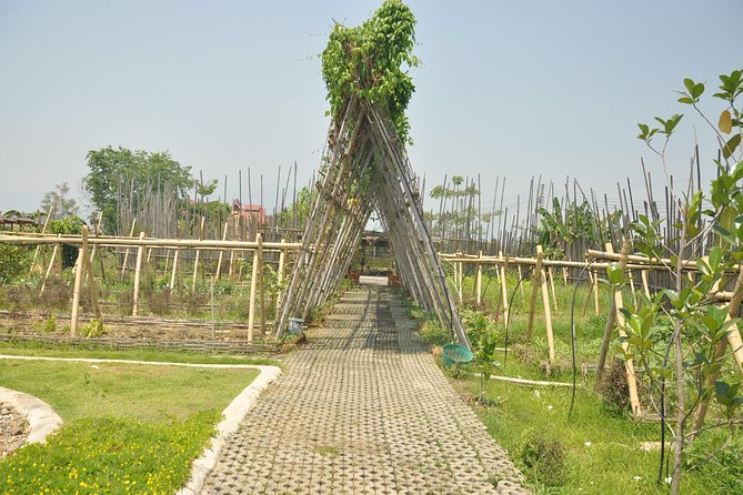 Morning Cooking Class in Organic Farm with Local Market Tour - Recipe cards and take-home usefulness