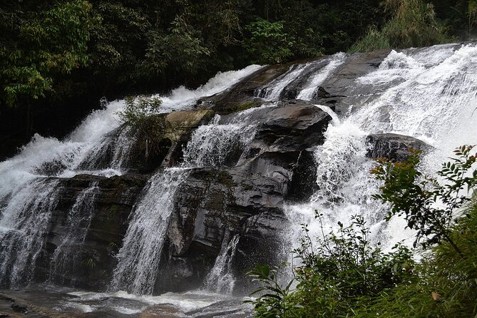 Mount Doi Inthanon National Park Sunrise and Hiking - Stop 2: Pha Dok Seaw Waterfall Nature Trail (the best “walk and look” block)
