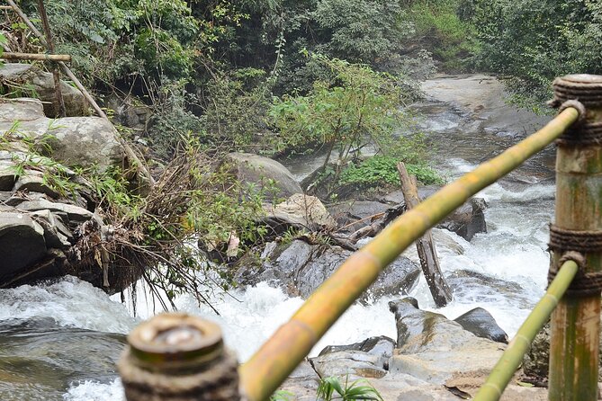 Mount Doi Inthanon National Park Sunrise and Hiking - What the hike feels like: pace, terrain, and safety with a guide
