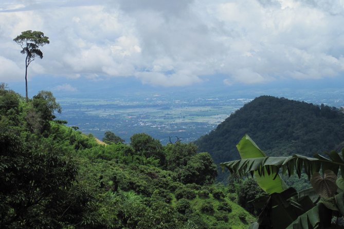 No.1 Chiang Mai: Advanced Downhill Mountain Biking, Suthep N.Park - What You’ll See: Viewpoints, Hill Tribe Farms, and Village Life