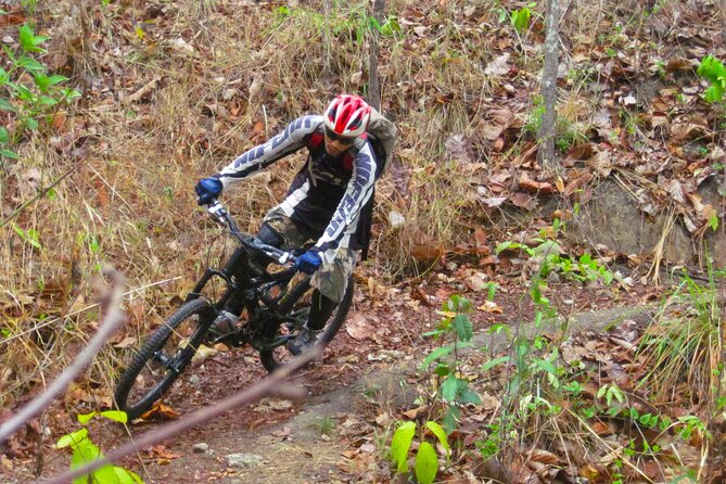 No.1 Chiang Mai: Advanced Downhill Mountain Biking, Suthep N.Park - Lake Huay Tueng Thao: Lunch and a Swim Worth the Effort