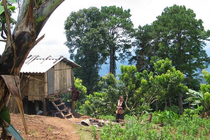 No.1 Chiang Mai: Advanced Downhill Mountain Biking, Suthep N.Park - Support, Safety, and Gear: What’s Included (and What It Changes for You)