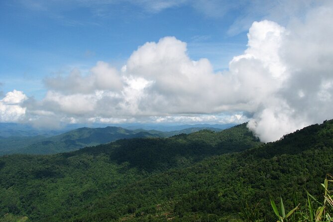 No.1 Chiang Mai: Epic Doi Suthep Downhill MTB Adventure - The Main Downhill: Highland Jungle, Short Ups, and Lake Direction
