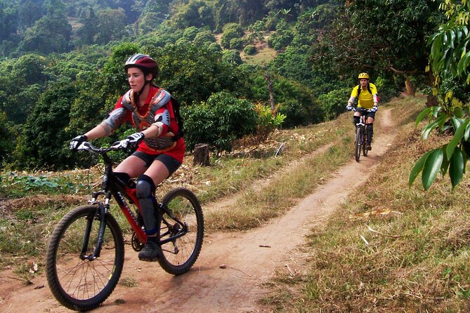 No.1 Chiang Mai: Epic Doi Suthep Downhill MTB Adventure - Price and Value: Why This Cost Can Make Sense