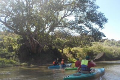 No.1 Chiang Mai: Leisure River Kayaking: Mae Taeng forest Reserve - Mae Tang Forest Reserve: The Shaded Finish