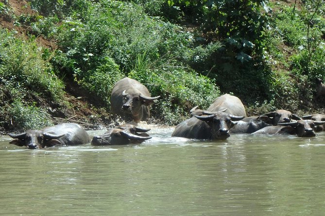 No.1 Chiang Mai: Leisure River Kayaking: Mae Taeng forest Reserve - Kayak Boats, Safety, and How the Day Stays Organized