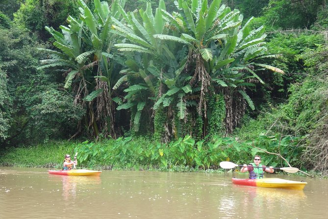No.1 Chiang Mai: Leisure River Kayaking: Mae Taeng forest Reserve - Should You Book No.1 Chiang Mai: Leisure River Kayaking?