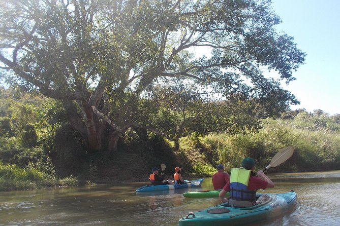 No.1 Chiang Mai: Leisure River Kayaking: Mae Taeng forest Reserve - Mae Tang Forest Reserve: The Shaded Finish