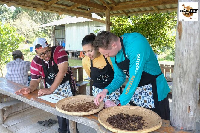 Off the Map Chiang Mai Jungle Coffee Trek Roast and Brew - A Chiang Mai coffee trek that mixes roasting, trekking, and Karen culture