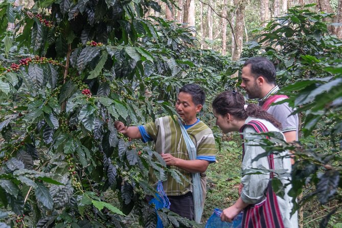 Off the Map Chiang Mai Jungle Coffee Trek Roast and Brew - V60 pour-over workshop: the technique that makes the cup matter