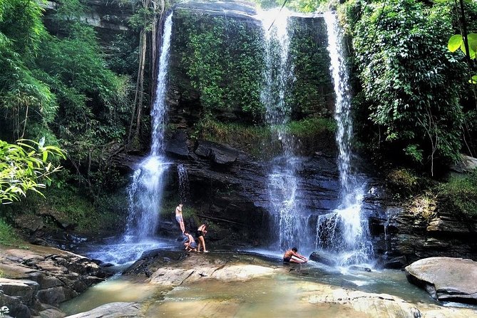 One Day Hiking and Elephant experience by Chiang Mai Elephant Home - The jungle hike and waterfall time: two hours that can feel real
