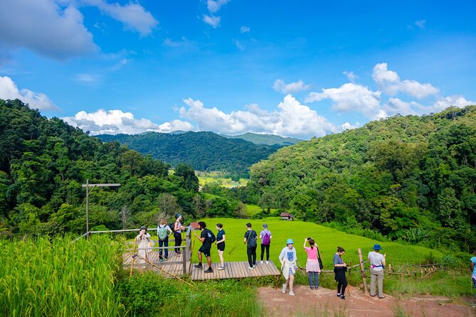 Pha Dok Siew Nature Trail & Doi Inthanon National Park From Chiang Mai - Key highlights worth planning around