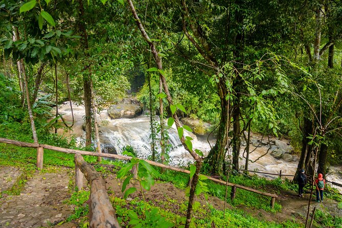 Pha Dok Siew Nature Trail & Doi Inthanon National Park From Chiang Mai - King and Queen Pagodas: iconic gardens plus a dress check
