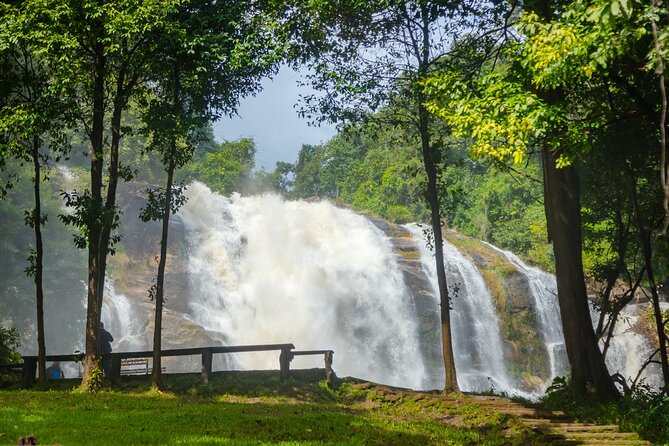 Pha Dok Siew Nature Trail & Doi Inthanon National Park From Chiang Mai - Pha Dok Siew Nature Trail: the hill-tribe guide part you shouldn’t skip
