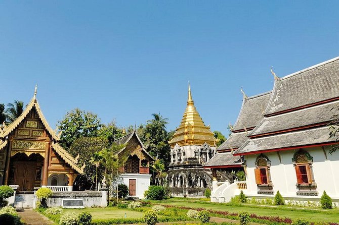 Private Chiang Mai City Tour including Wat Doi Suthep, Wat Suan Dok (SHA Plus) - Wat Phra Singh in the old city: active monastery feel