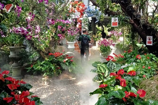 Private Tour Chiang Rai 3 Wonderful Temples & Lalitta Cafe - Lalitta Café: a break that also rewards the photo-loving side