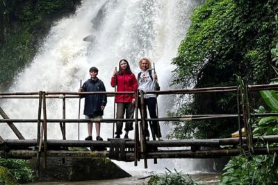 Private Tour to Doi Inthanon including Twins Pagodas and Hiking - Price and value: what $115 per person is really buying