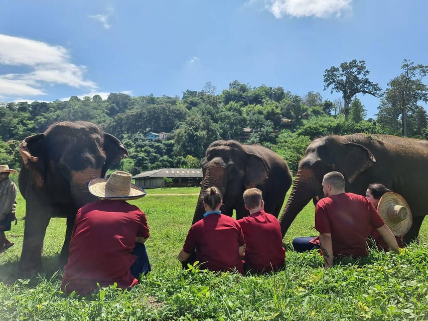 Rantong elephant sanctuary Chiangmai - FAQ