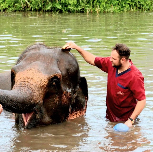 Rantong elephant sanctuary Chiangmai - Rantong Elephant Sanctuary: a straightforward elephant day without the circus vibe