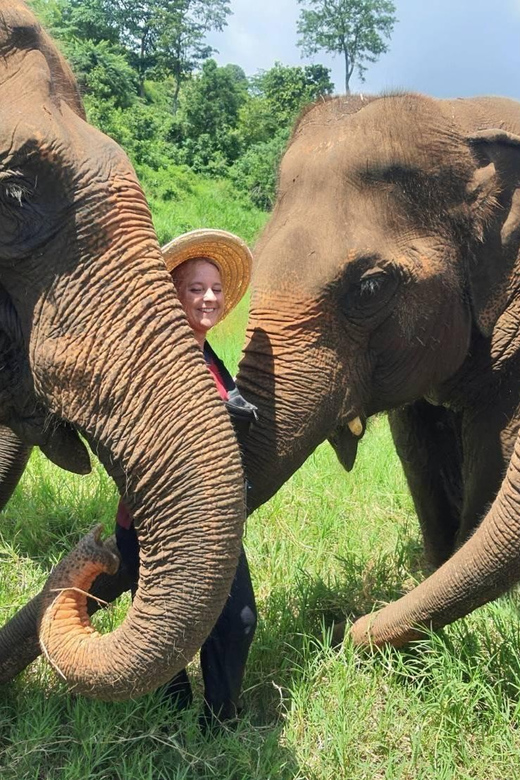 Rantong elephant sanctuary Chiangmai - Walking and hand-feeding: what the elephant interaction really feels like