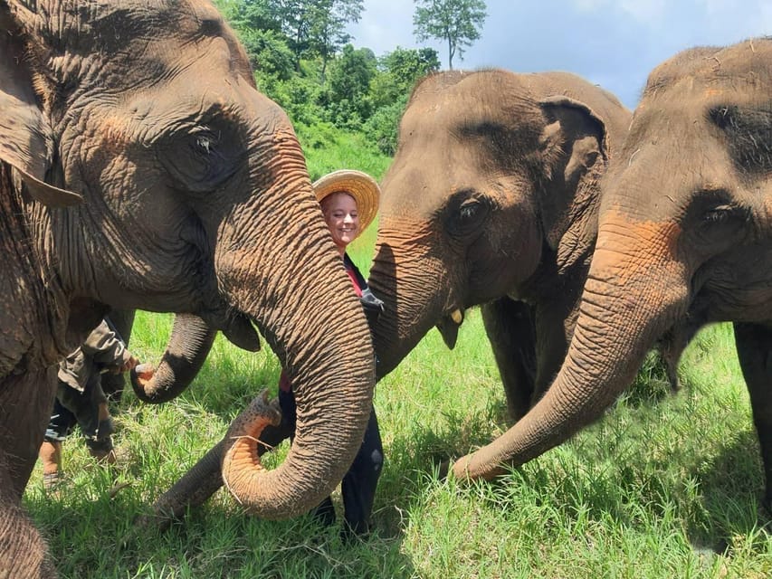 Rantong elephant sanctuary Chiangmai - Bath time: the part you’ll remember for years