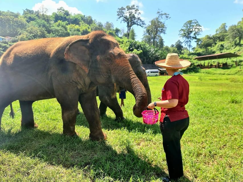 Rantong elephant sanctuary Chiangmai - Transportation as a mini Chiang Mai orientation