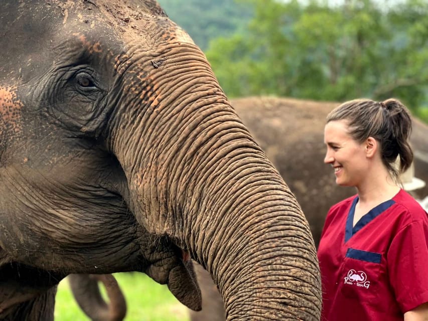 Rantong elephant sanctuary Chiangmai - Price and value: what you’re really paying for at $57 per person