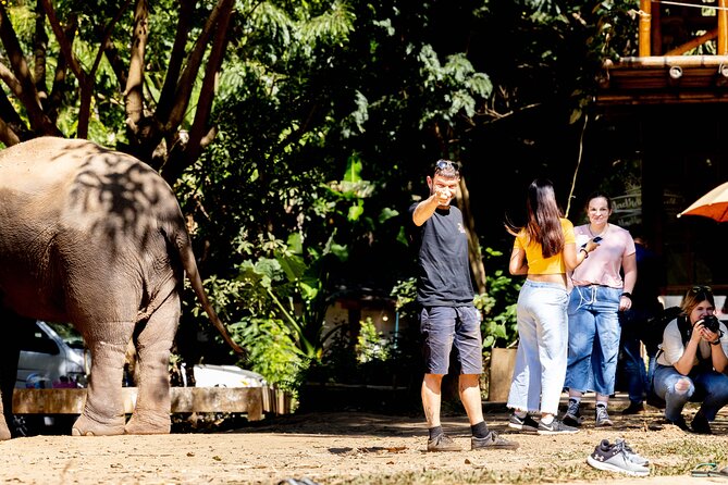 Scooter Adventure with elephants, views and FUN drive yourself - Elephant Fun Farm Chiang Mai: close-up time with big personalities